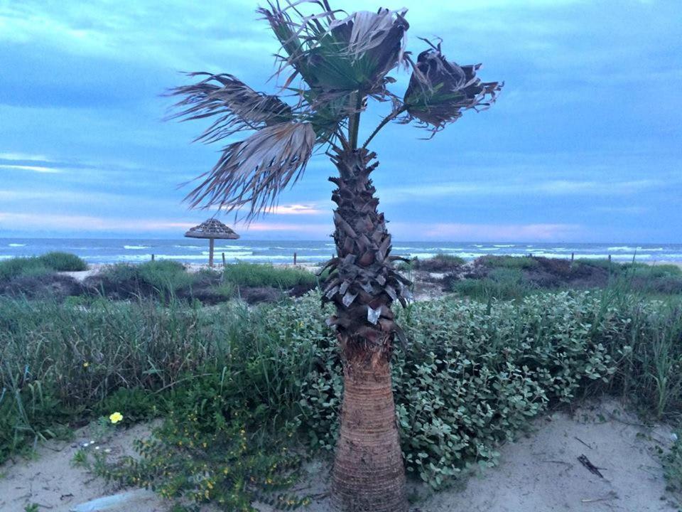 Unobstructed Oceanfront Sea Turtle Unit 2 Beach Pad! Surfside Beach Extérieur photo